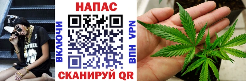Бошки марихуана семена как найти закладки дарк нет клад Славянск-на-Кубани